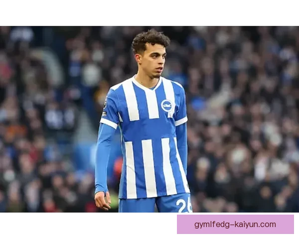 英超波特布莱顿表现稳健，近期状态持续提升引发关注