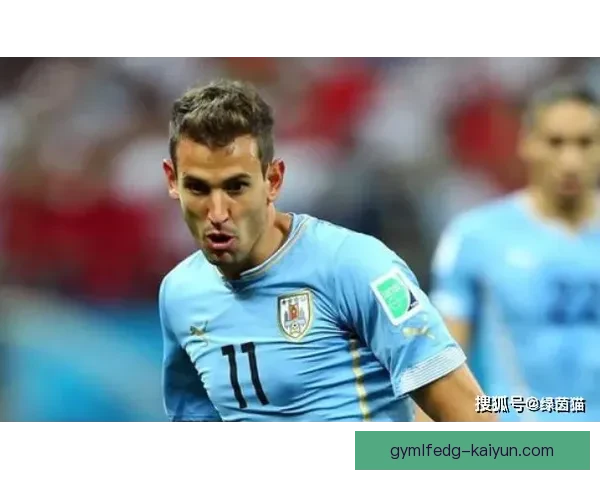 西甲老将斯图亚尼近期表现稳健